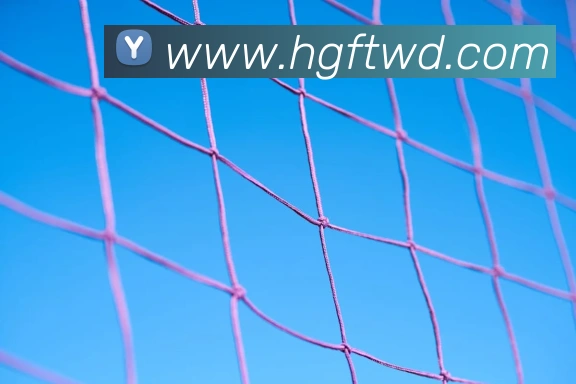 问鼎娱乐发展历程